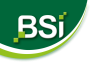 BSI